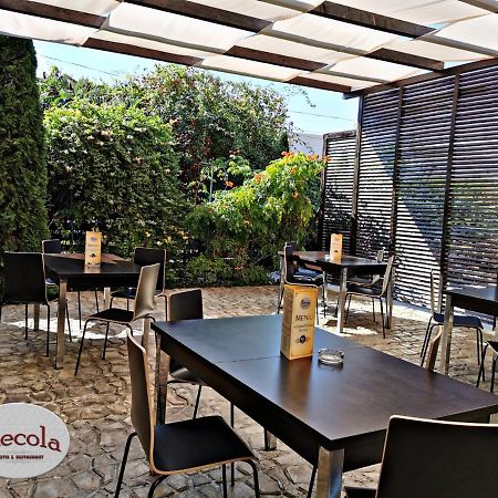 موتيل Băneşti International Recola المظهر الخارجي الصورة